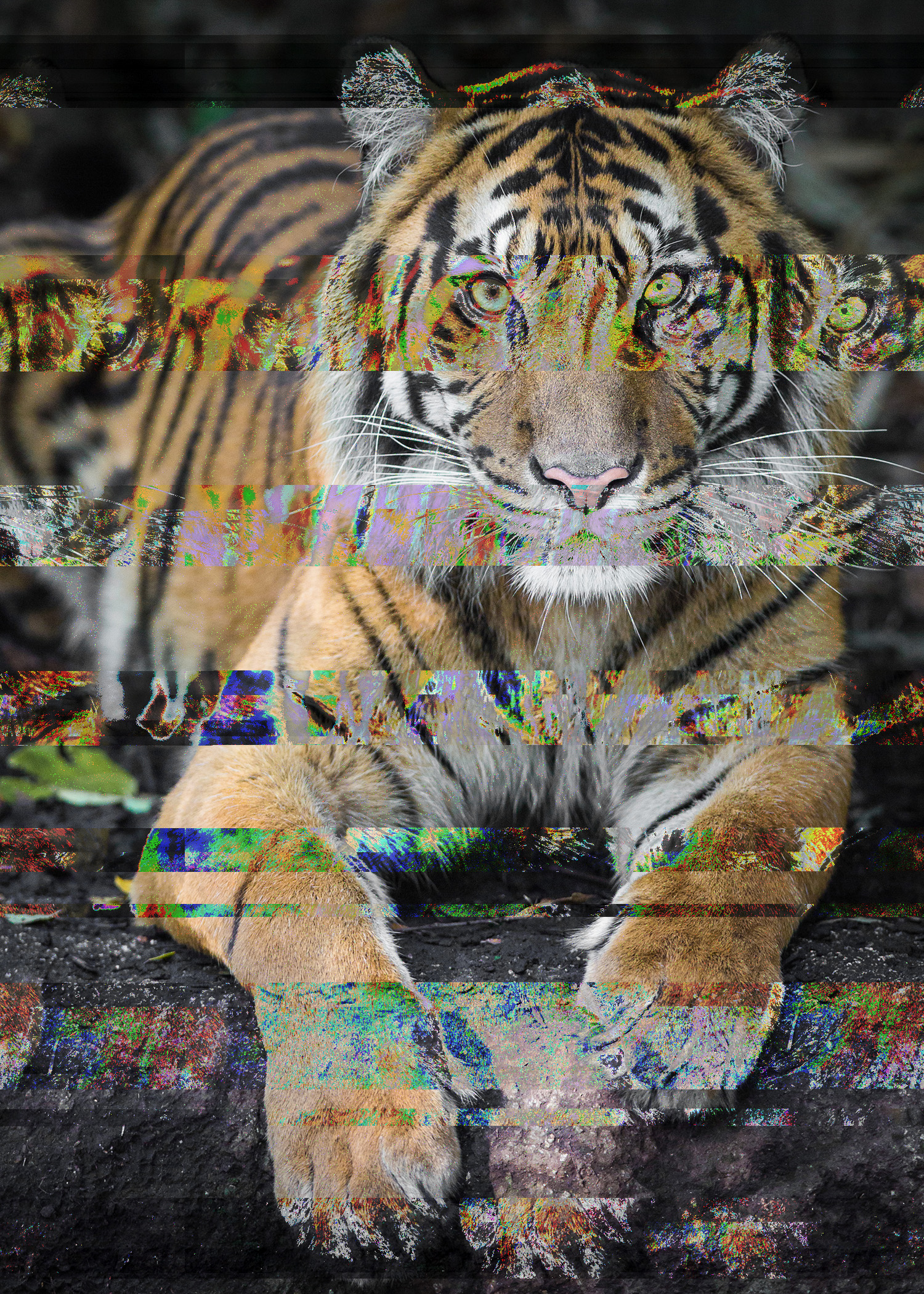 1st Glitches - Artwork 6