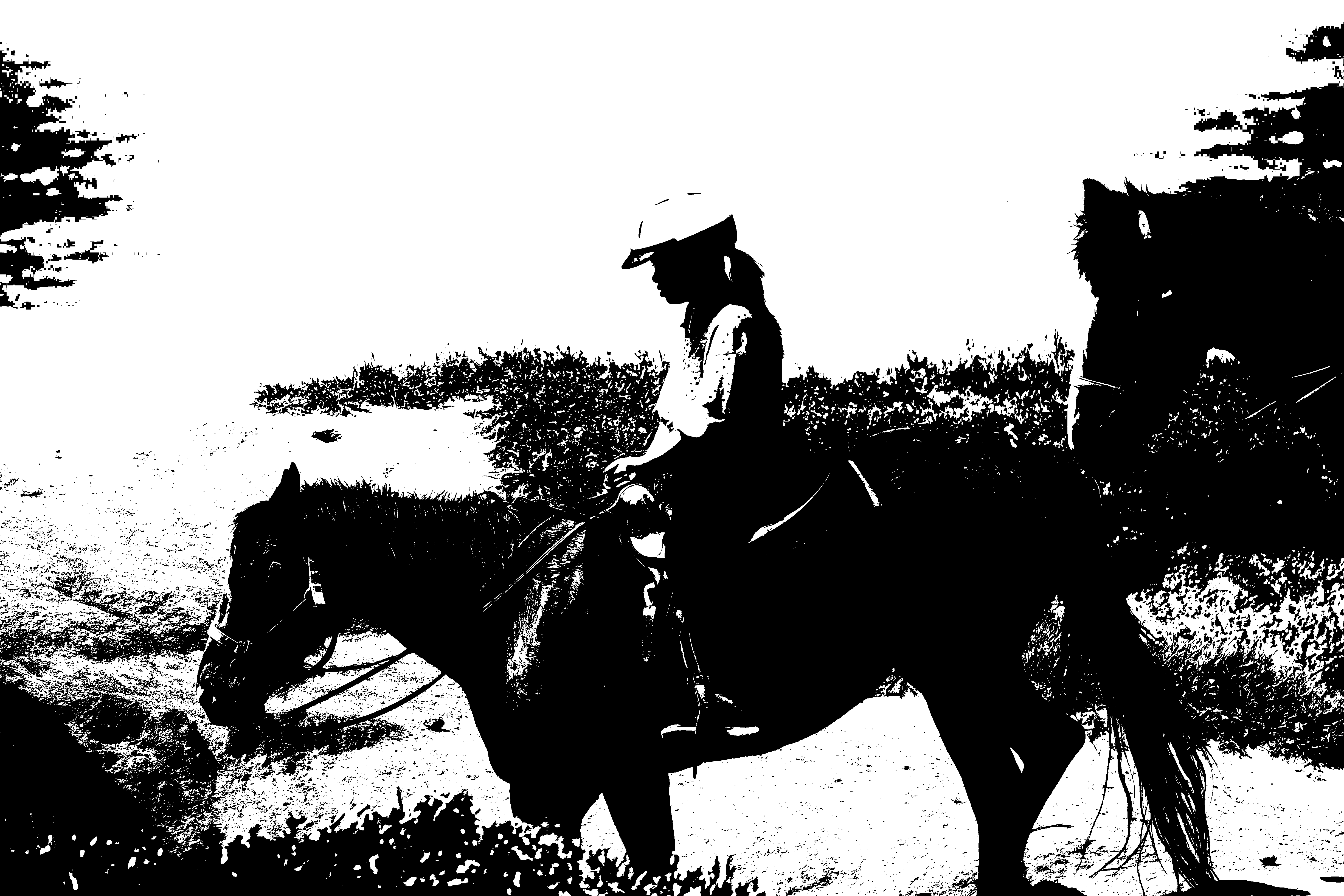 Two Tones & Three Tones - Artwork 3