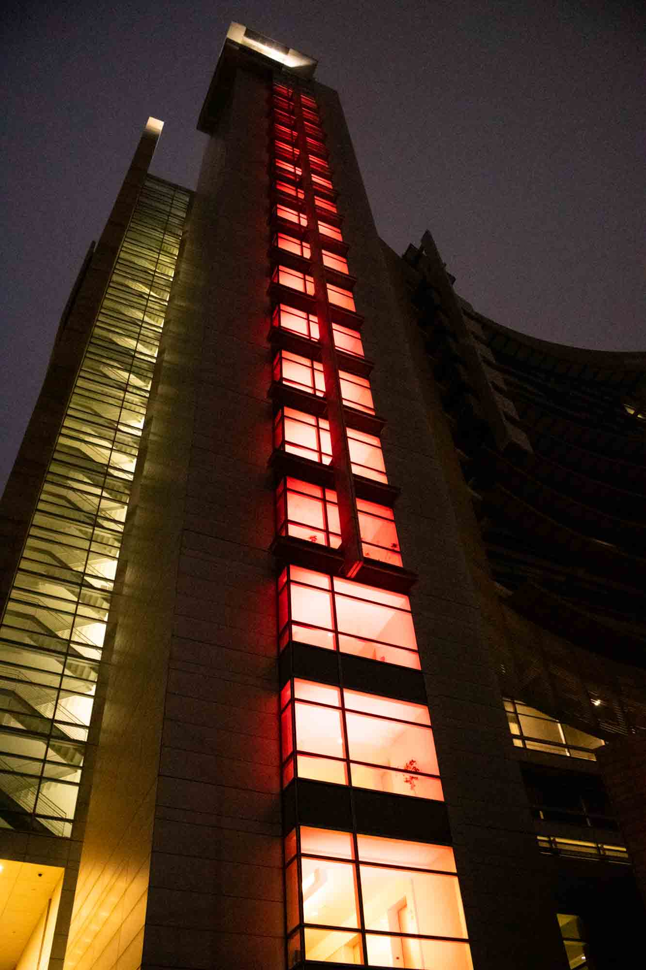 The Color of Light - Photo 3
