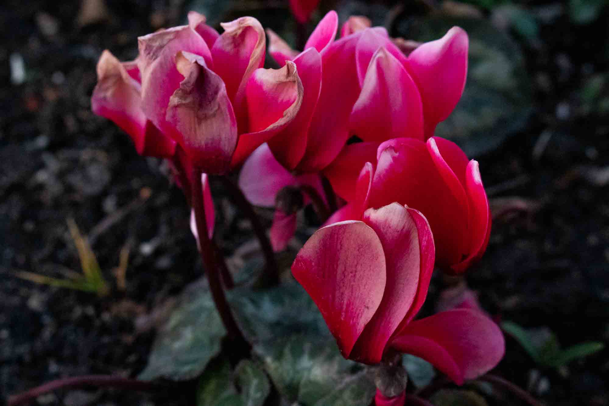 The Color of Light - Photo 3