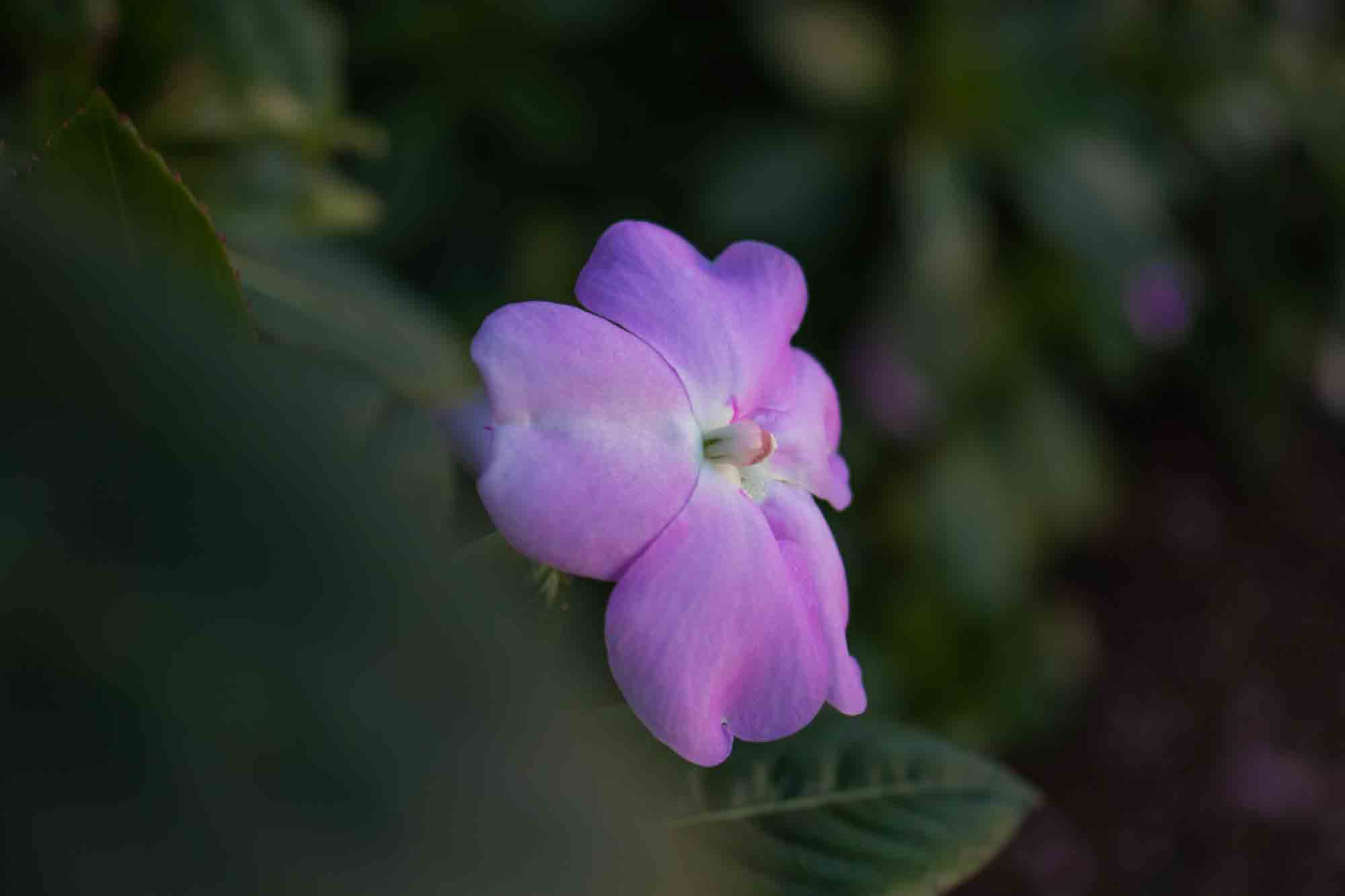 Properties of Color - Photo 4