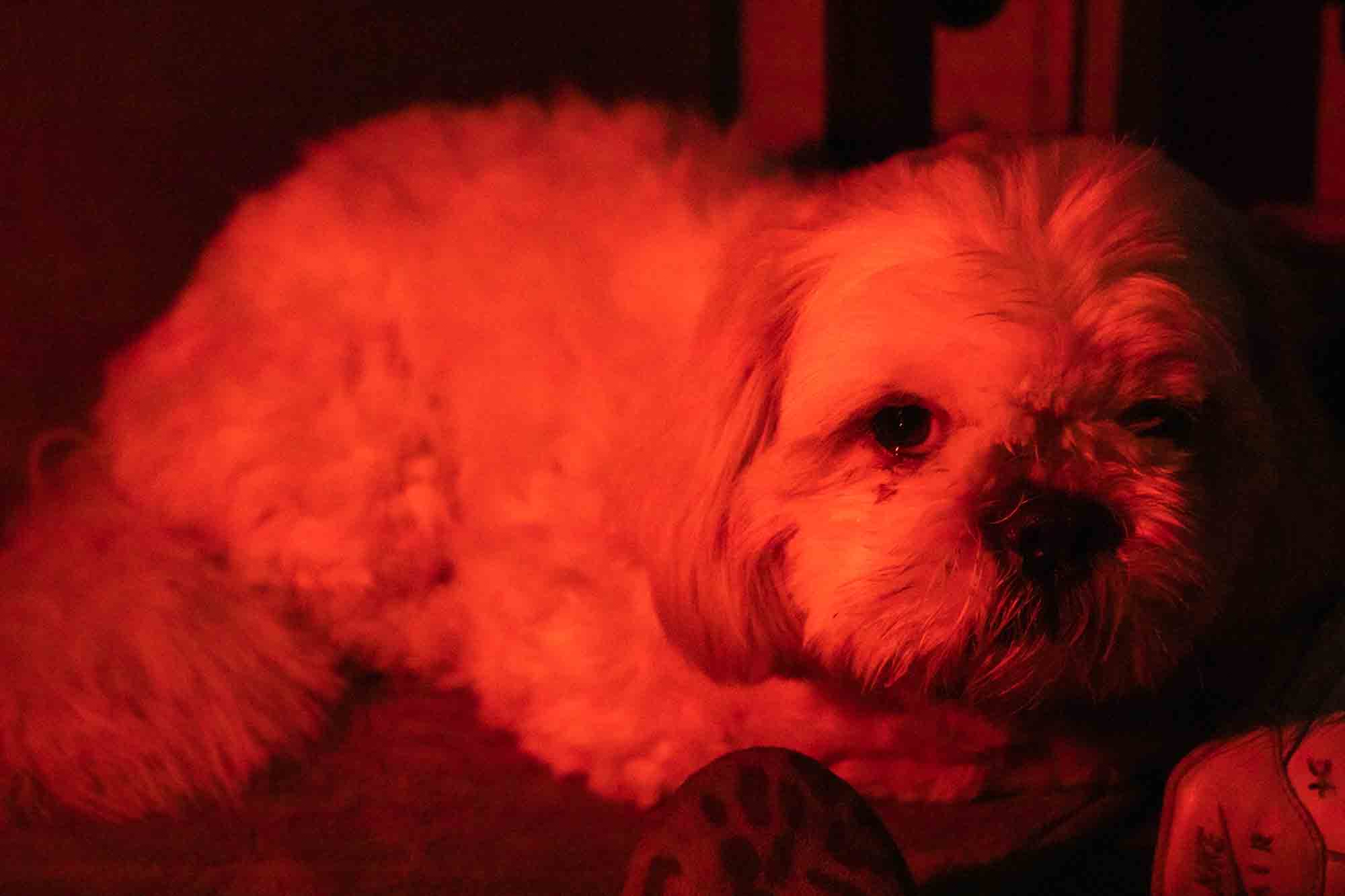 Properties of Color - Photo 4