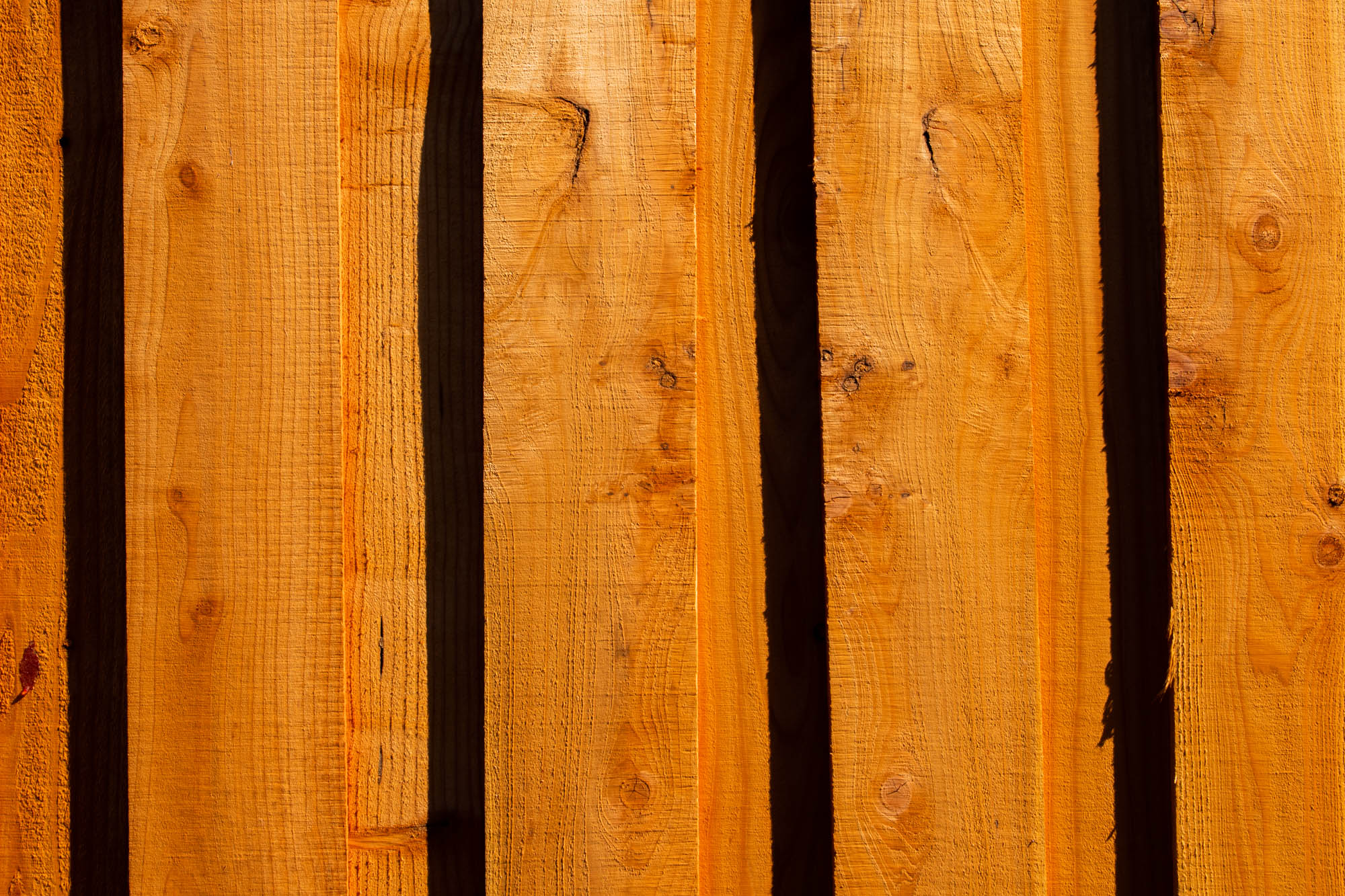 Color Schemes - Photo 5