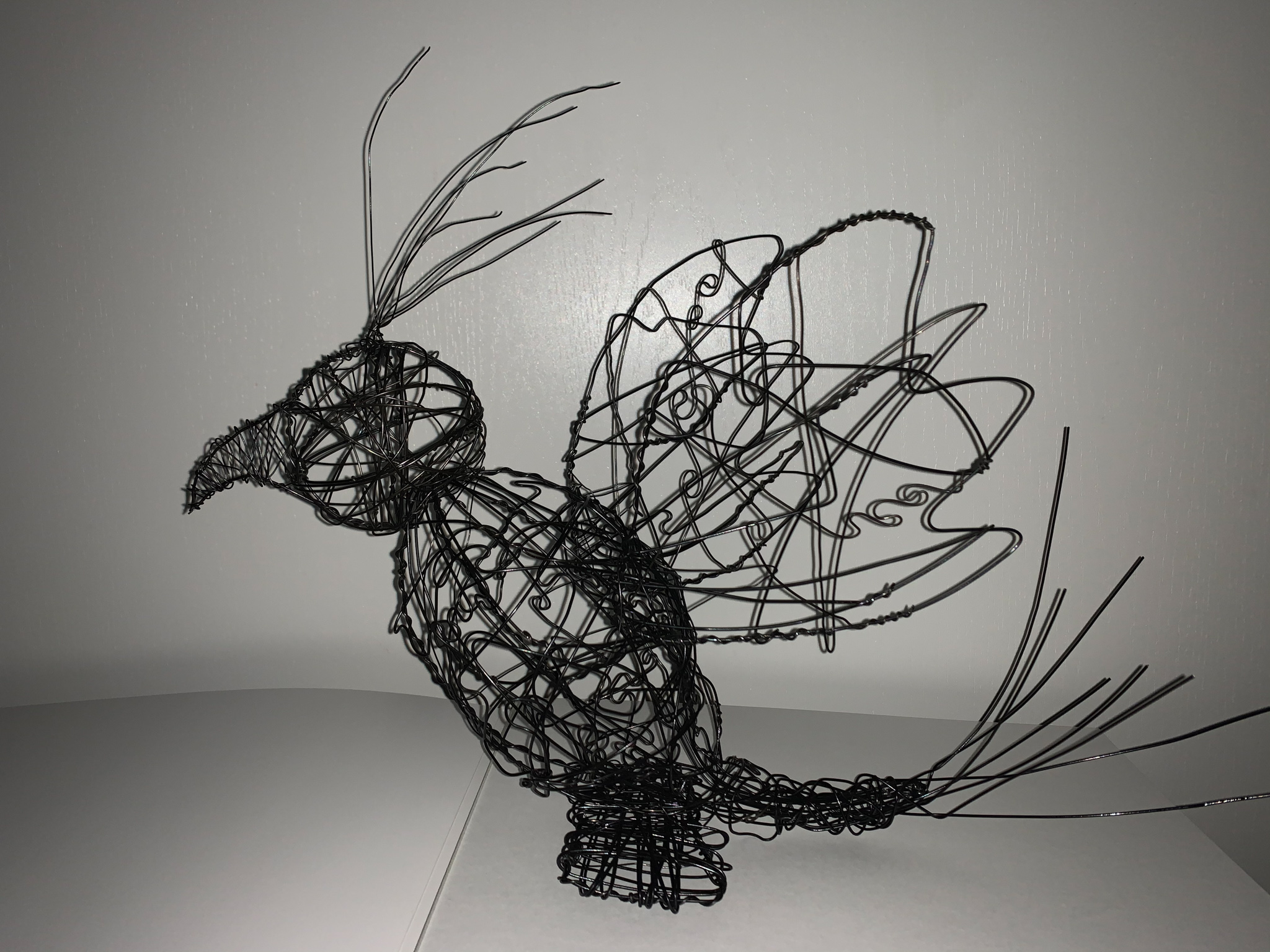 The Phoenix